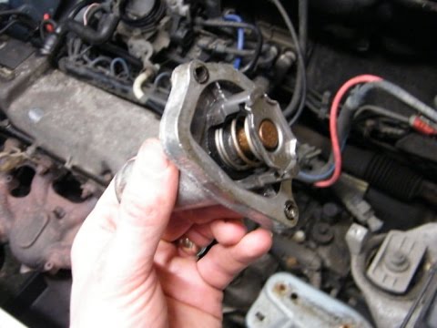 Sostituzione Valvola Termostatica Fiat Punto Mk