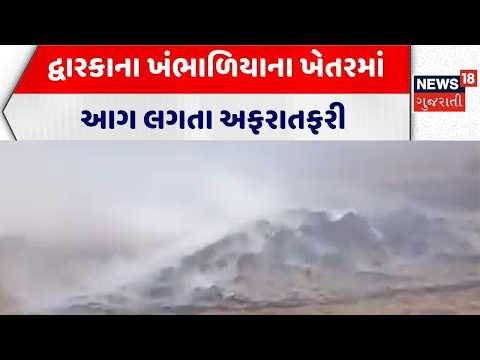 Dwarka News | દ્વારકાના ખંભાળિયાના ખેતરમાં આગ લગતા અફરાતફરી | Khambhaliya | Farm | Gujarati News