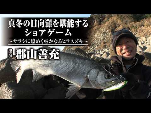 ＃709 真冬の日向灘を堪能するショアゲーム～サラシに煌めく厳かなるヒラスズキ～