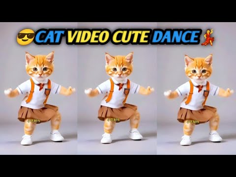 😎Cute cat funny videos funny dance💃|😎क्यूट कैट फनी वीडियो फनी डांस💃#cat #funny #cute #catvideos #cat