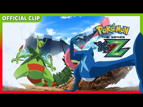 Pokemon TCG News