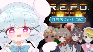 【R.E.P.O. はまち視点】ぷり茶でわちゃわちゃ賞金稼ぎ！【#ぷり茶】