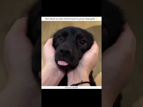 awww how cute he is😚✨|||