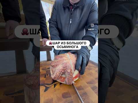 РЫБНОЕ ЧУДОВИЩЕ #рыбец64