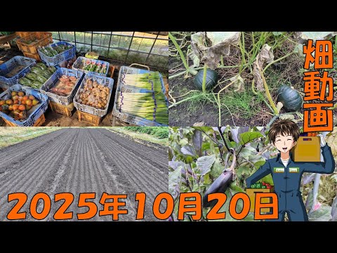 【25/10/20】子供が産まれたので、10日ほど休みます!