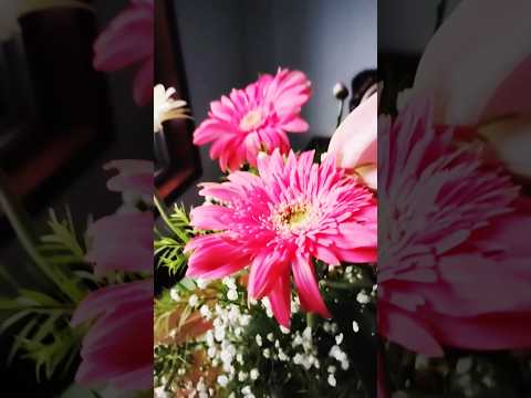 Saiyaara#trending #love #sign #beautiful #flowers #ytshorts