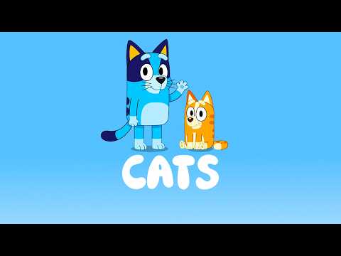 MORE Hidden SECRETS In Bluey You MUST KNOW