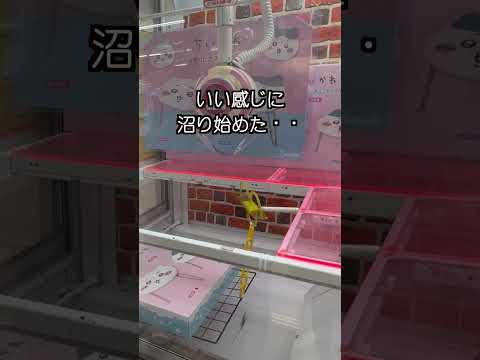 【クレーンゲーム】人気のちいわかミニテーブル！沼ったので、押しまくってやった！#shorts