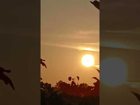 mng view #shorts @nirmal videos