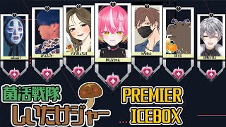 🐉VALO💞あいすぼっくす💞ヴァロ🐉