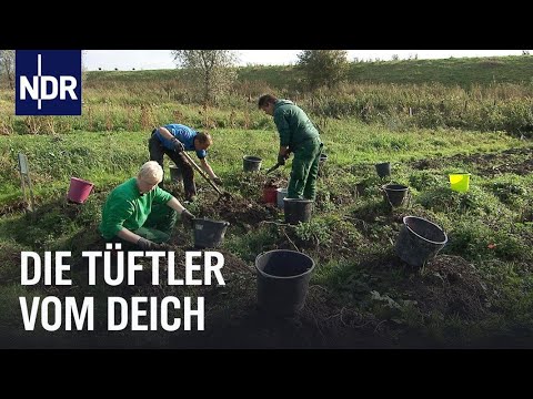 Forschen fürs Klima: Das Ökowerk in Ostfriesland | Die Nordreportage | NDR Doku