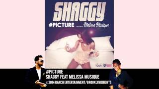 Picture - Shaggy feat Melissa Musique (Official Audio)