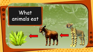 Science - What Animals Eat  - Plant, Flesh or Both (For children) -   English