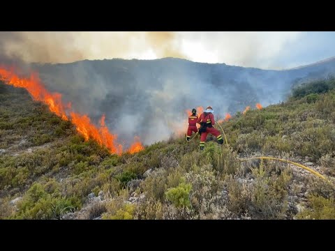 Firefighters struggle to control fires in eastern Spain | AFP