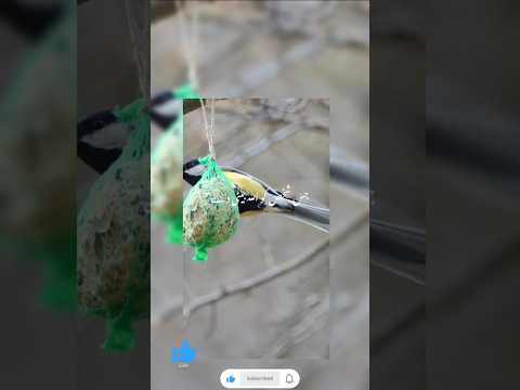 #betiyaan #beti #beautifuldua #beautifulquran #viralvideo