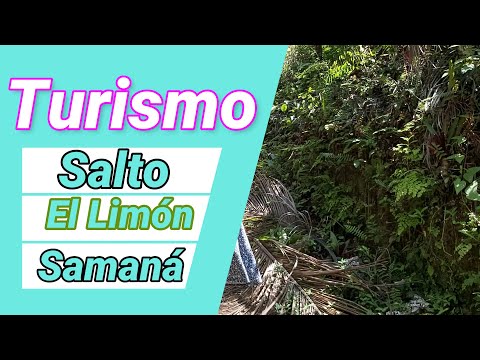 Un "Teteo en Salto el Limón", Samaná, República Dominicana