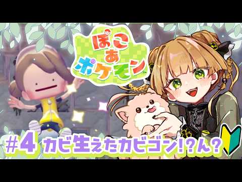 【ぽこあポケモン】1時間だけ!1時間だけ遊ぶ!【 #らにぽめお散歩 ┊ #個人Vtuber 】