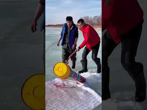 Creatures never seen before#gauvafacts #Shorts #viralshorts #trendingshorts #facts