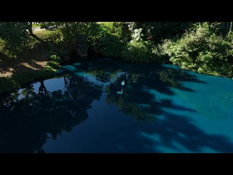 Dye spill threatens wildlife in Brazil after turning lake blue | AFP