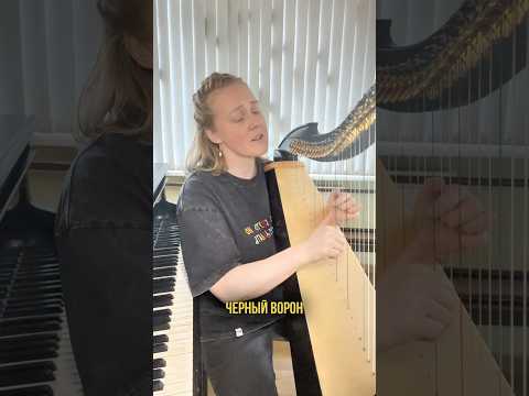 Черный ворон 🐦‍⬛