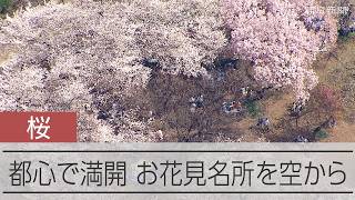 動画サムネイル