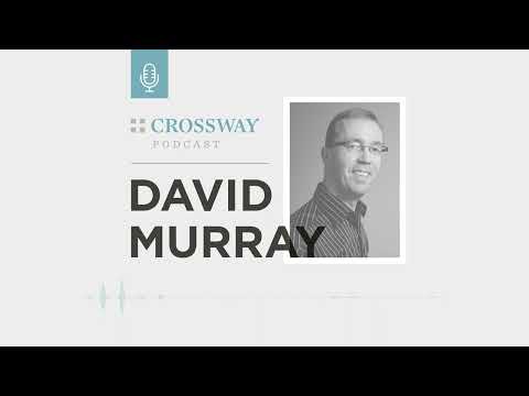Don't Despair, Jesus Can Rewrite Your Story (David Murray)