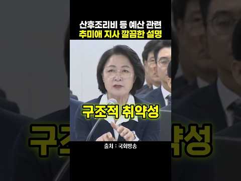 산후조리비 등 예산 관련 추미애 지사 깔끔한 <strong>설명</strong>