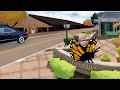 JR Animated Documentary