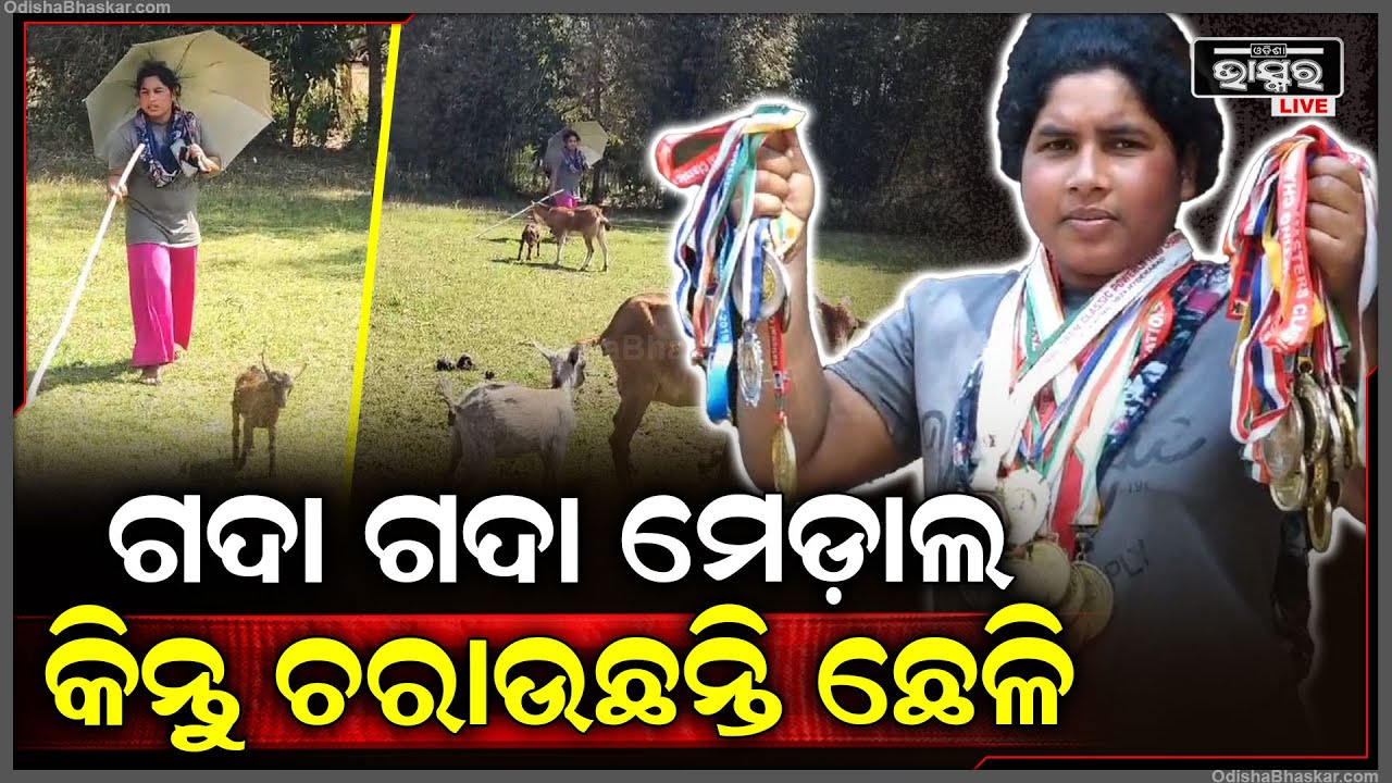 ପାଖରେ ଗଦା ଗଦା ଜାତୀୟ ସ୍ତରିୟ ସ୍ବର୍ଣ୍ଣ ପଦକ, ହେଲେ ଏବେ ଛେଳି ଚଳାଉଛନ୍ତି ଯୁବତୀ..