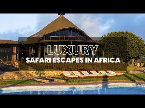 Luxury Safari Escapes in Africa