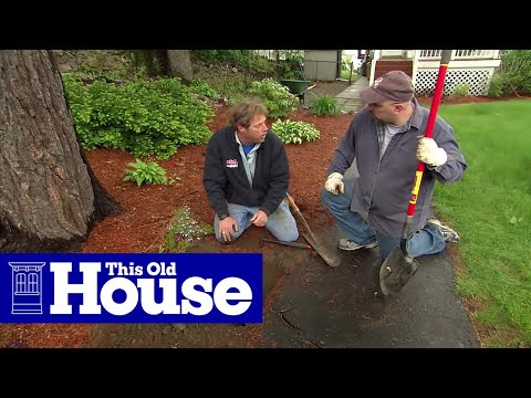 How to Repair an Asphalt Walkway | This Old House - UCUtWNBWbFL9We-cdXkiAuJA