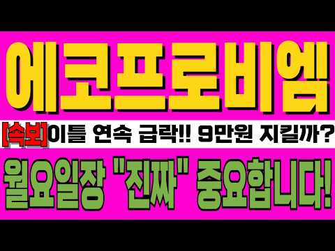 [에코프로(에코프로비엠) 주가전망] 이틀 연속 급락!! 9만원 지킬까? 주주분 이라면 필수시청!! 월요일장 "진짜" 중요합니다!!