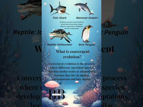 Convergent evolution #biology #biologyshorts #yt #ytshorts #ytshortsvideo #ytviral #youtubeshorts