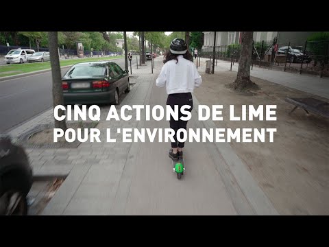 Cinq Actions De Lime Pour L'Environnement