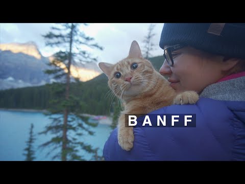Гори та озера Канади. Місто Банфф (Banff) та озеро Морейн (Moraine Lake). Подорож з котом.