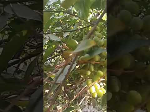 #ترند #راحة_نفسية #تركيا_اسطنبول #زلزال #موسيقى