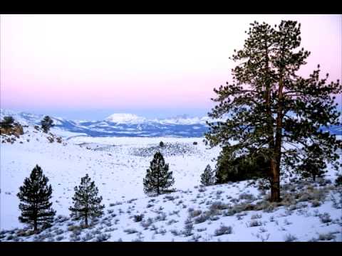 Chris Rea - Thinking Of You
