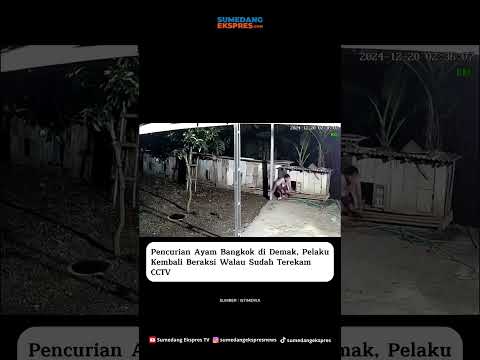 P3ncvri Ayam di Demak Berhasil Tertangkap Kamera Pengawas (CCTV)