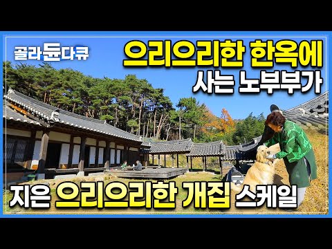 사람 집도 으리으리, 개 집도 으리으리! 전통한옥 제대로 지으려고 전국의 궁궐이랑 고택은 다 가 본 노부부가 작정하고 지은 한옥의 스케일ㅣ전통한옥 짓는 과정ㅣ#골라듄다큐