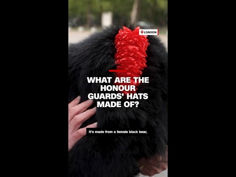 What are the honour guards' hats made of?