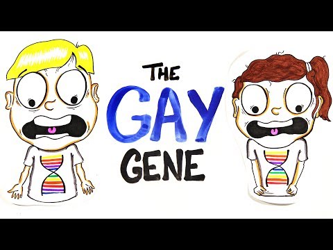 Does Everybody Have A Gay Gene? - UCC552Sd-3nyi_tk2BudLUzA