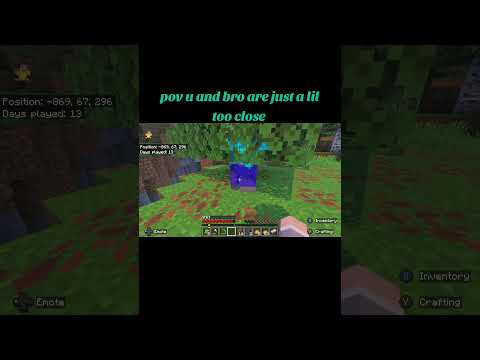 #viral #minecraft #gaming #fyp #funny #shorts #clips #bro