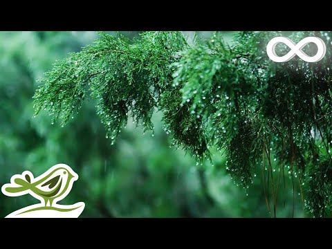 Relaxing Music & Soft Rain Sounds - Beautiful Piano Music for Sleeping, Studying & Relaxing - UCjzHeG1KWoonmf9d5KBvSiw