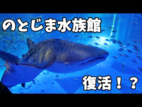 石川県のとじま水族館震災から復活か！？動物たちが戻ってきた！