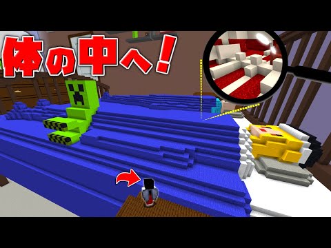 【マイクラ】小人になって魔理沙の体内に侵入する！？【ゆっくり実況】【配布マップ】