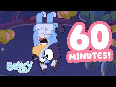 🔴LIVE: Bluey's Fruitbat Dream! 😴 🦇 | Bluey Clips Livestream 💙 | Bluey