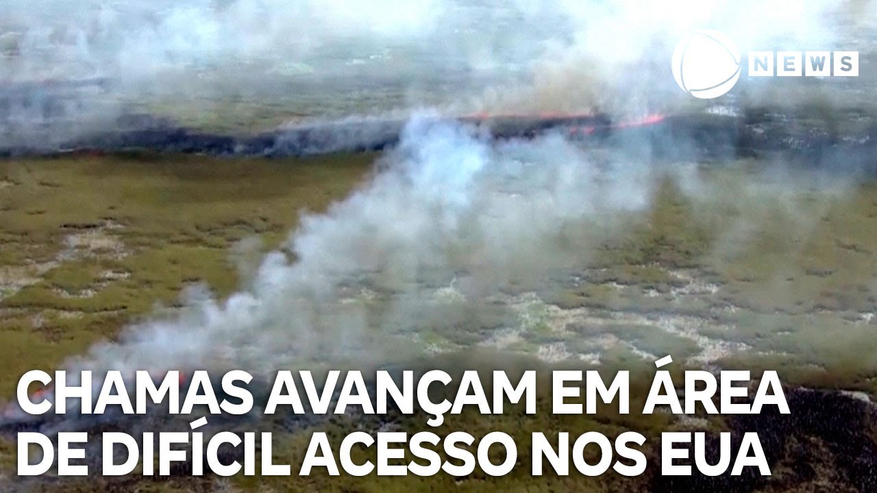 Chamas avançam em área de difícil acesso na Flórida