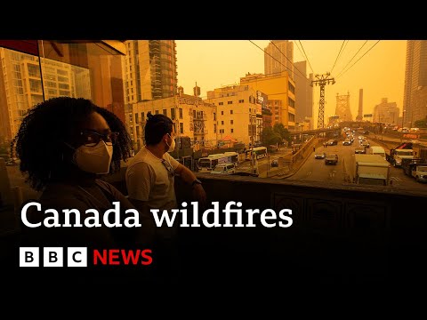 Tens of millions under air quality warnings as fires burn - BBC News