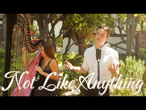 Not Like Anything (Harp Performance) | Greg Gontier & Minta Spencer