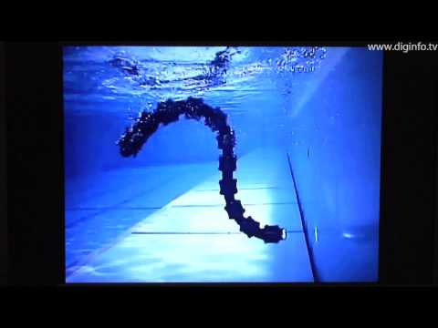 Amphibious snake robot - ACM-R5 : DigInfo - UCOHoBDJhP2cpYAI8YKroFbA